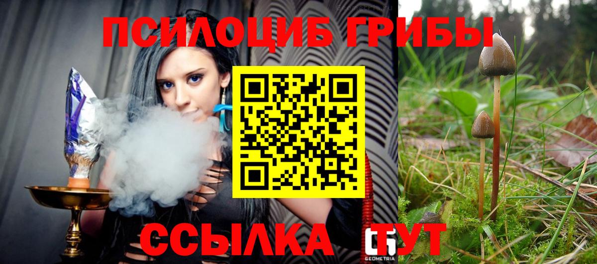 Псилоцибиновые грибы прущие грибы Усть-Лабинск