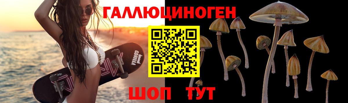 закладка  Псилоцибиновые грибы прущие грибы  Вход с VPN  Усть-Лабинск  Псилоцибиновые грибы ЛСД 